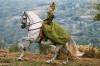 1134150_la-princesse-de-montpensier-lp-dr.jpg