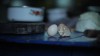 1_e_Huang-Ji-_Egg-and-Stone-.jpg