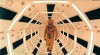 2001_a_space_odyssey_2.jpg