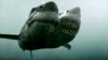 2headedsharkattack2n_0.jpg