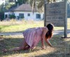 3-Cassadaga.jpg