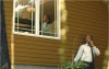 3backyards3.jpg