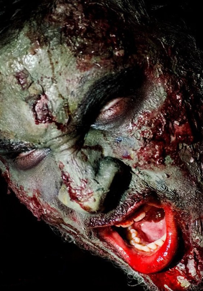 Call of Duty Undead