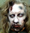Abraham-Lincoln-Vs-Zombies-z.jpg