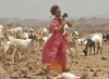 Desert-Flower-movie-01.jpg