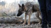 Hunting-the-Legend-3_n.jpg