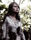I-Survived-A-Zombie-Holocaust40_n.jpg