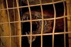 Riddick-2013-a.jpg
