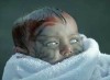 Rise-of-the-Zombies-2012-movie-8.jpg