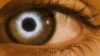 TheHost--ope-t.jpg