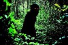 Uncle-Boonmee-Who-Can-Recall-His-Past-Lives.jpg