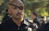 WRONG_COPS-799.jpg