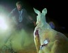Wake-in-Fright-6.jpg