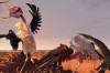 Zambezia-004.jpg