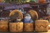 Zambezia-market_.jpg