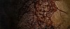 afflicted-poster-slice.jpg
