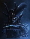 alien_xenomorph_02.jpg