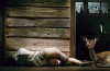 antichrist-1.jpg