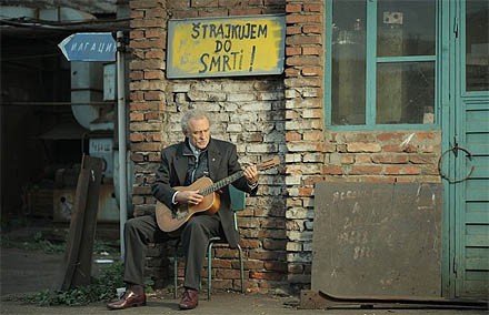 Beli lavovi