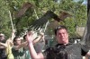 birdemic2_01.jpg