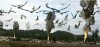 birdemic_2-2013.jpg