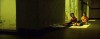 boiling-dreams-5.jpg