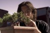 bonsai2.jpg