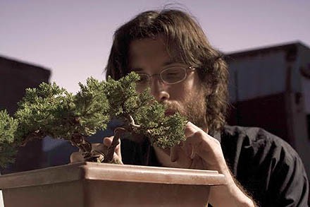 Bonsai