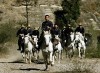 bullets-horses.jpg
