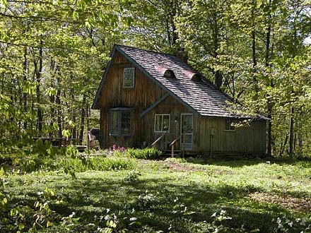 Brvnara u šumi