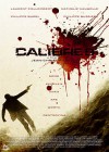 calibre9_poster.jpg
