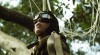 canopy2.jpg