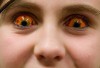 chance-in-hell3.jpg