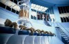 charlie_and_the_chocolate_factory7.jpg