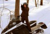 deadfall_15.jpg