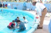 dolphin-tale-3.jpg