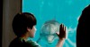 dolphin-tale-4.jpg