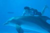 dolphin-tale-5.jpg