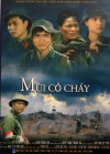 dot_phim_ky_niem_ngay_le_lon_va_nam_giai_phong_tinh_quang_tri_-_soha_thong_tin.jpg