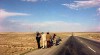 easy-rider-2.jpg