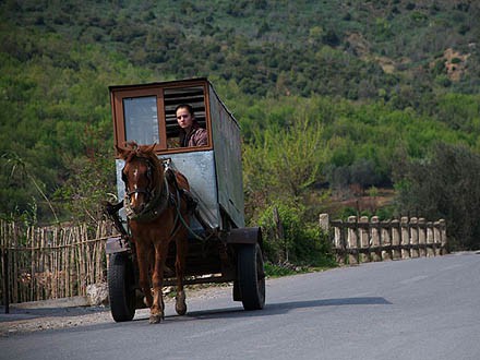 Oproštaj krvi