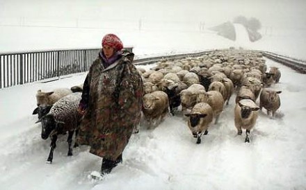 Zimski nomadi
