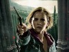 harry-potter-and-the-deathly-hallows-5.jpg