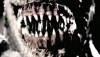 img_455_creature-2011-new-hd-movie-trailer.jpg