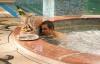 johnny-english-reborn5.jpg