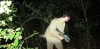 jungle-3.jpg