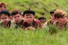 la-nouvelle-guerre-des-boutons-de-christophe-barratier-10532597sejin.jpg