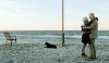 labrador2.jpg