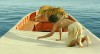 life-of-pi-1.jpg