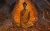 little_buddha-2.jpg